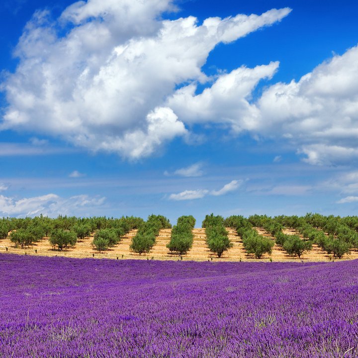 iStock170455115