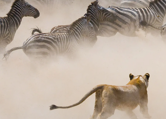 The Big Five