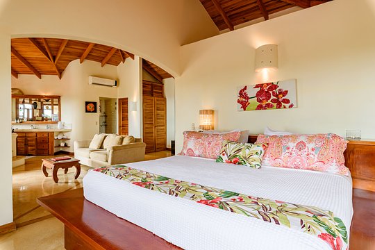 PREMIER EROS SUITE
