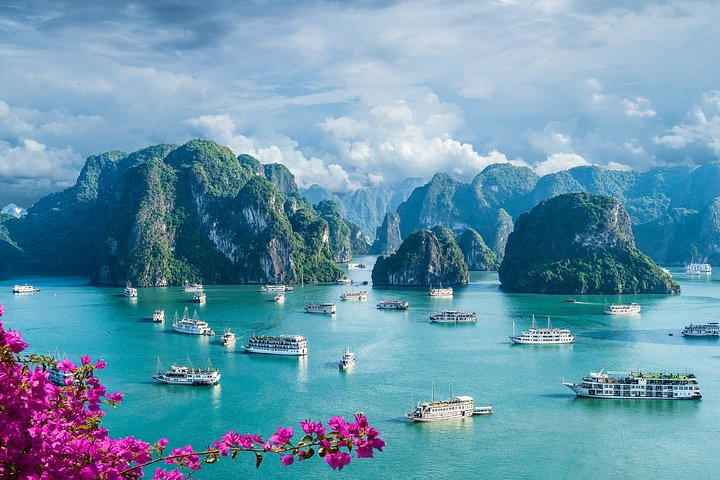iStock1201281530