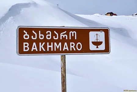 mubiphotosnowcatskigeorgie