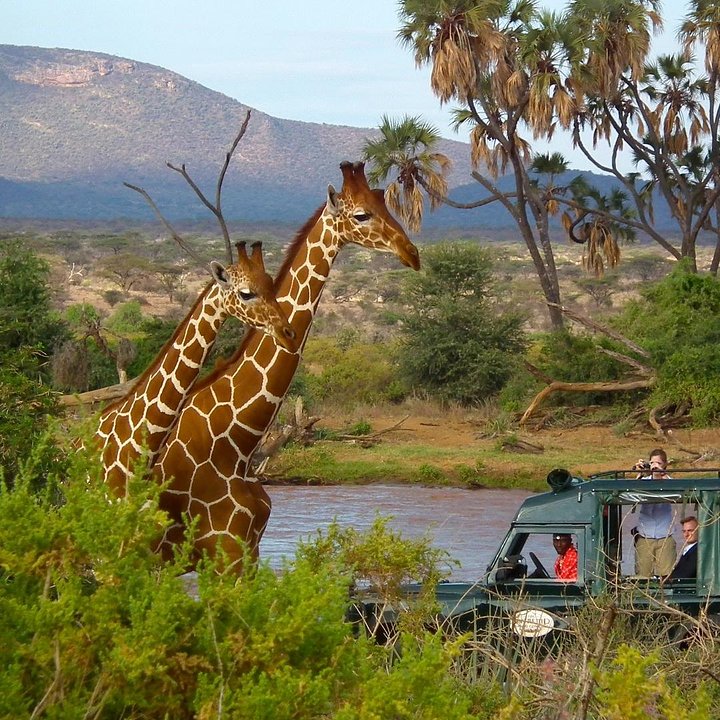 KenyaShabaGameReserve1