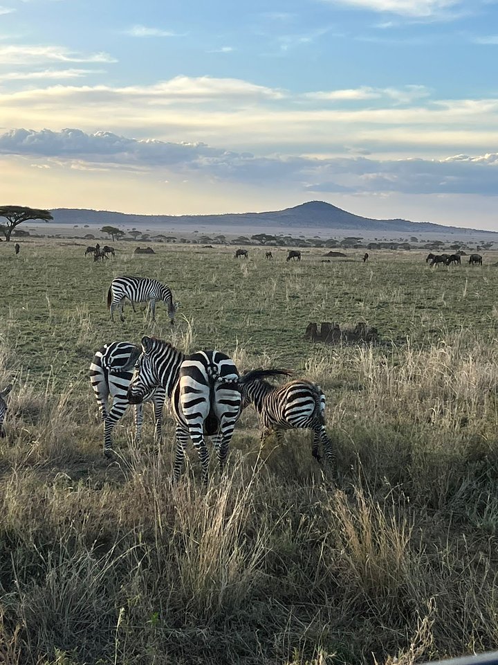 PHOTO20221109132516