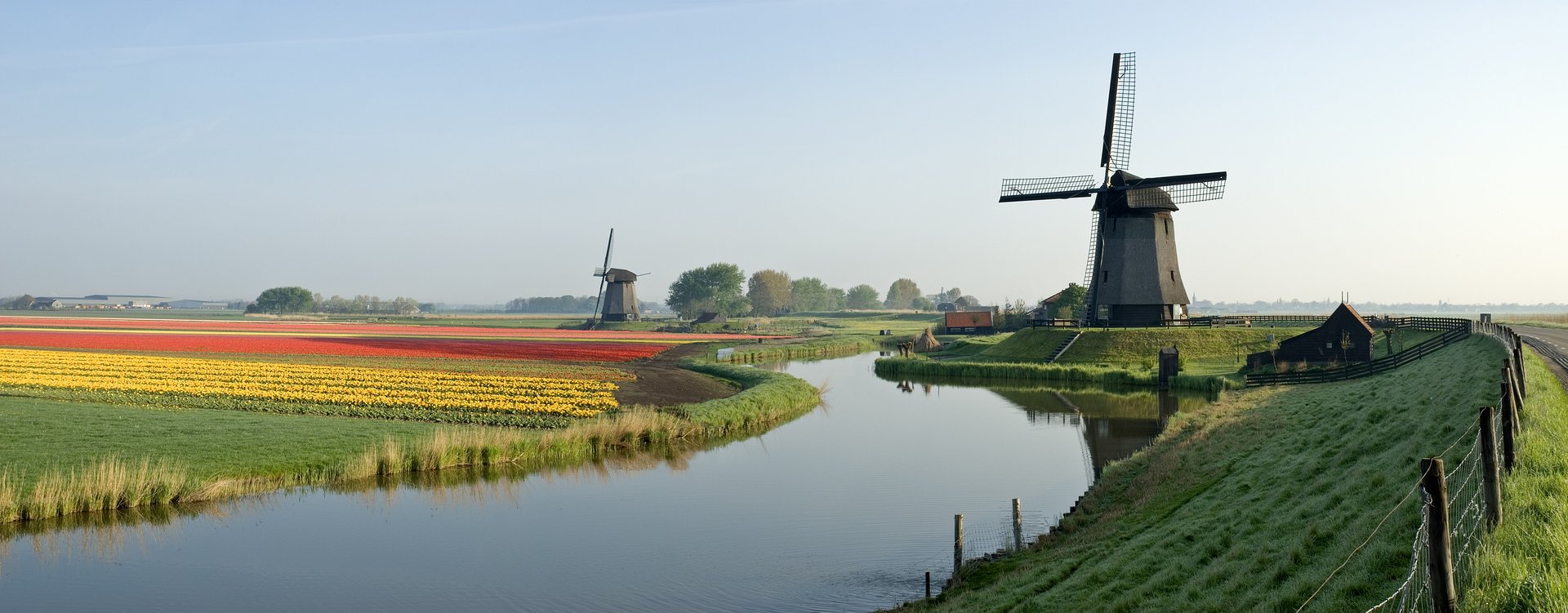 Tulip Time in Holland