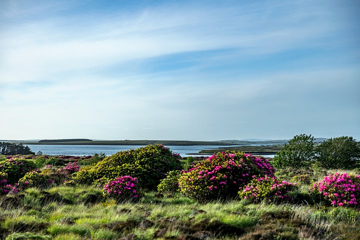 iStock1413047335