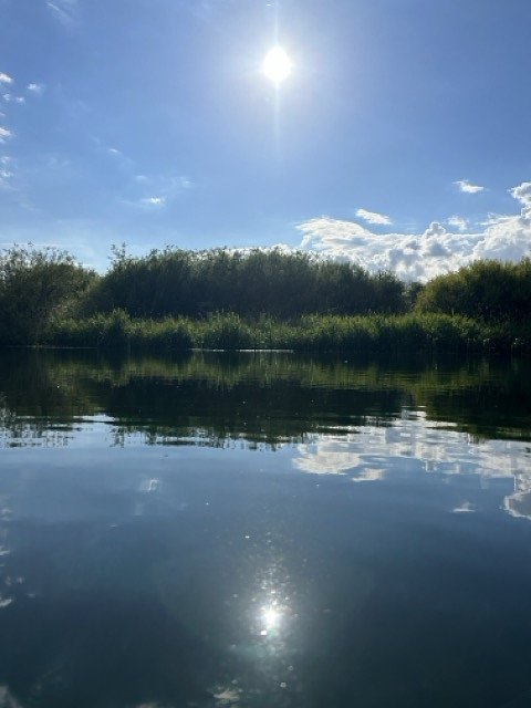 IMG_32152Medium