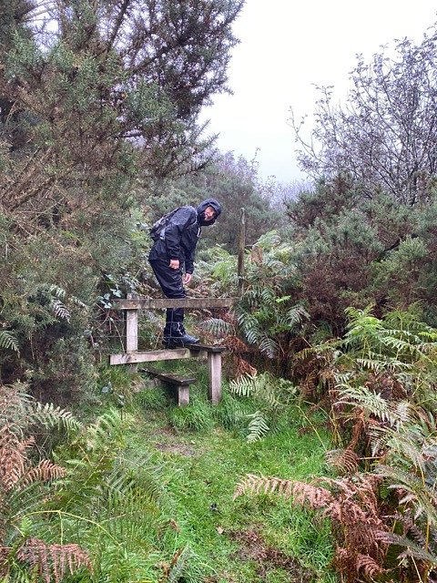 Deep in an ancient wood within a valley there is a special location