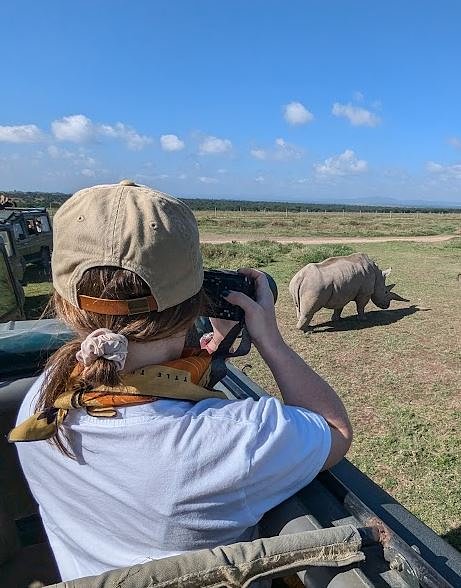 rhino