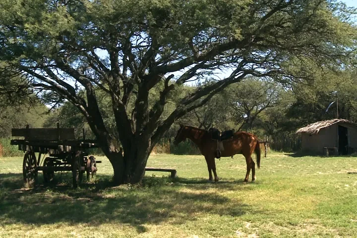 LaPampaCaballo