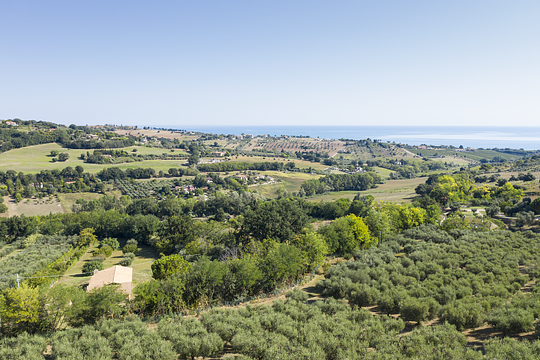Wine Tasting with a View