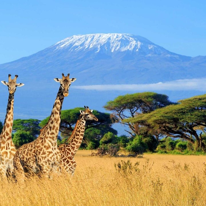 KenyaOverview