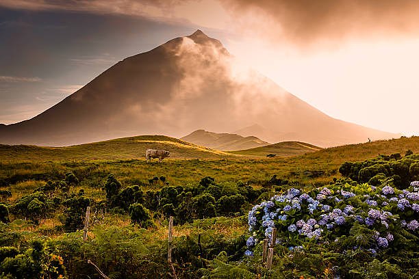 See for yourself why Lonely Planet says