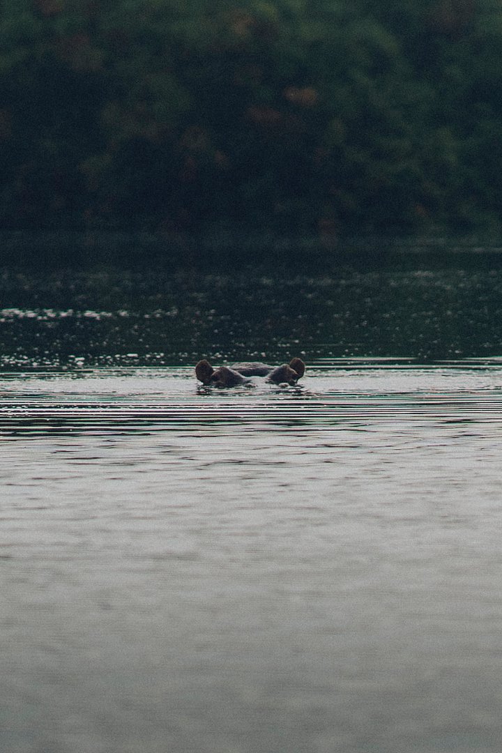 randominstitute28qyCVqS0tIunsplash