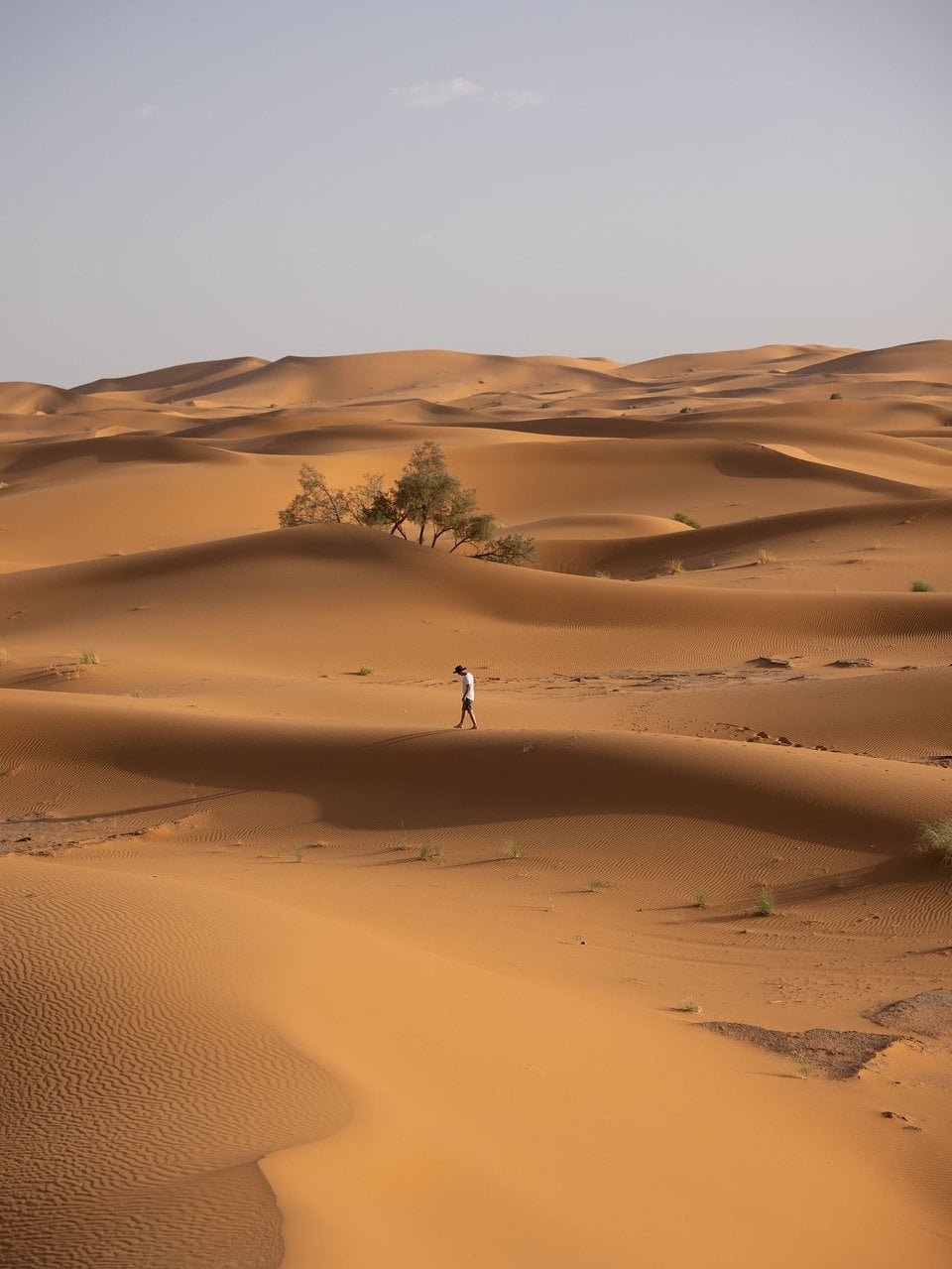 A lone hiker on huge sand dunes in the Sahara
