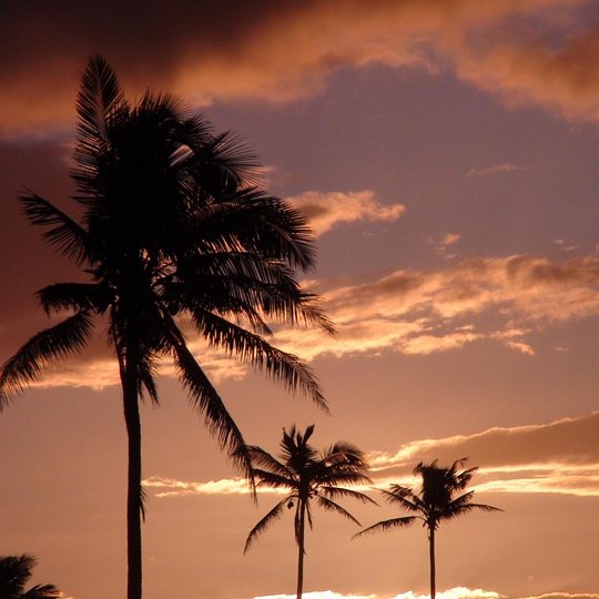 Travel Insurance