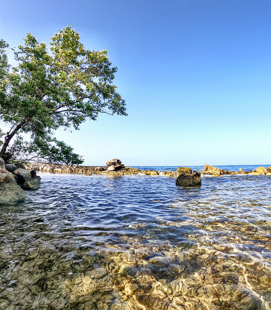 Nature Immersion
