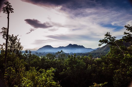 JUNGLE VIBES I 8 Days in the Peruvian Amazon