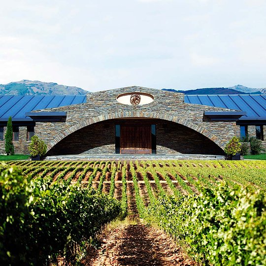 Visita Bodega Finca Rio Negro (Cogolludo) 