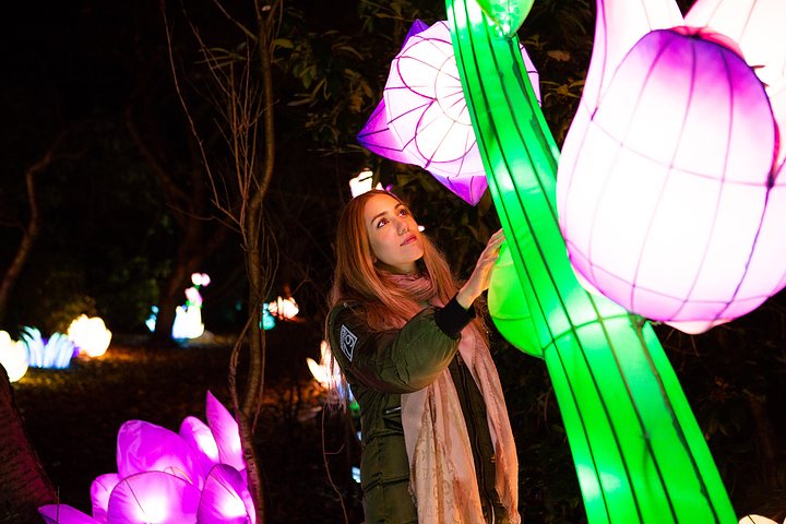 Lightopia_Flowers