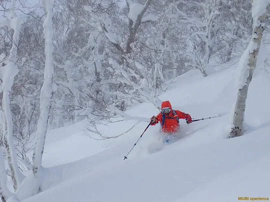 Japon Powder Land