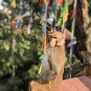 magdalenaloveDuPLiOh8nh0unsplash1