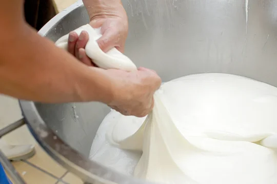 Learn to make fresh mozzarella by hand