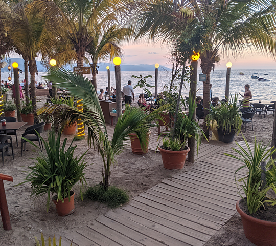 beachcrop