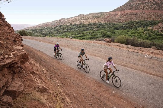Embark on an Adventurous Mountain Biking - Day Trip