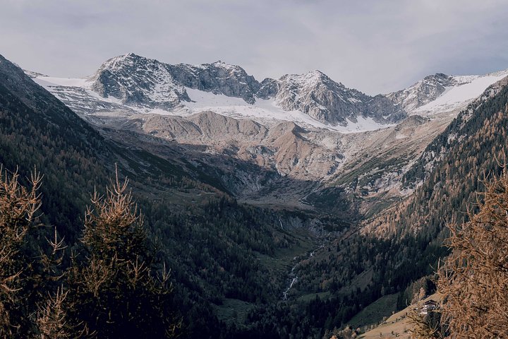 pexelseberhardgrossgasteiger640838