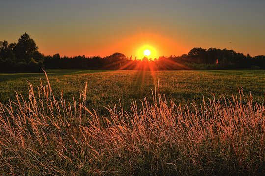 run before sunset 