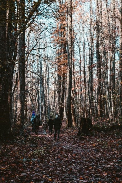 A return to old rhythms