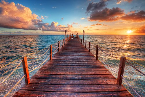 shutterstock_1975061151