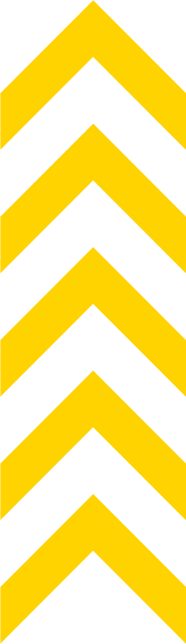 Asset14x