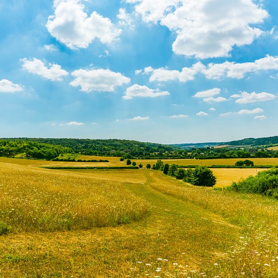 Explore Chiltern Hills