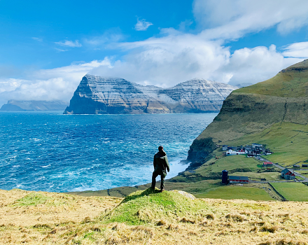 The Landscape