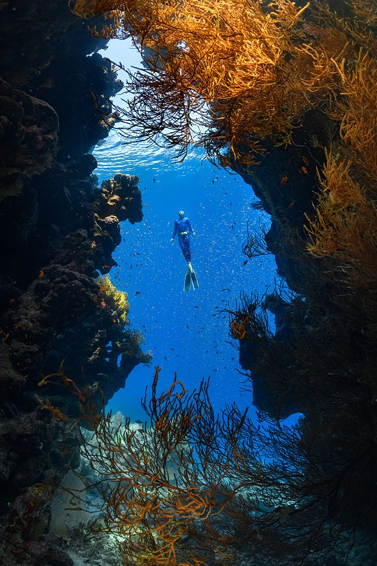 Diverse Outdoor Activities