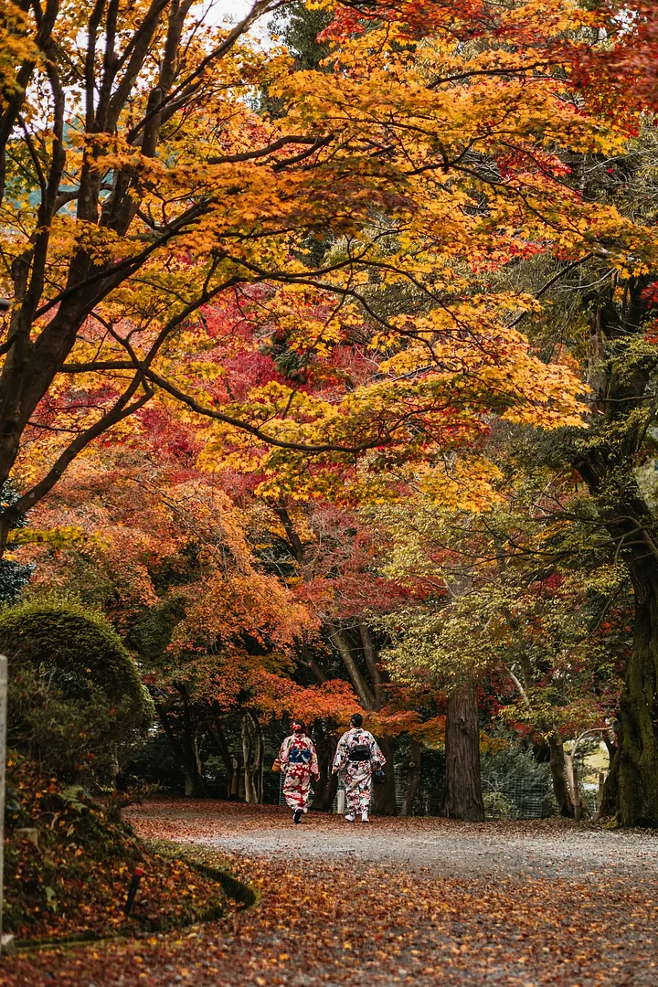 dianalisunovaoY8Ja0goISQunsplash