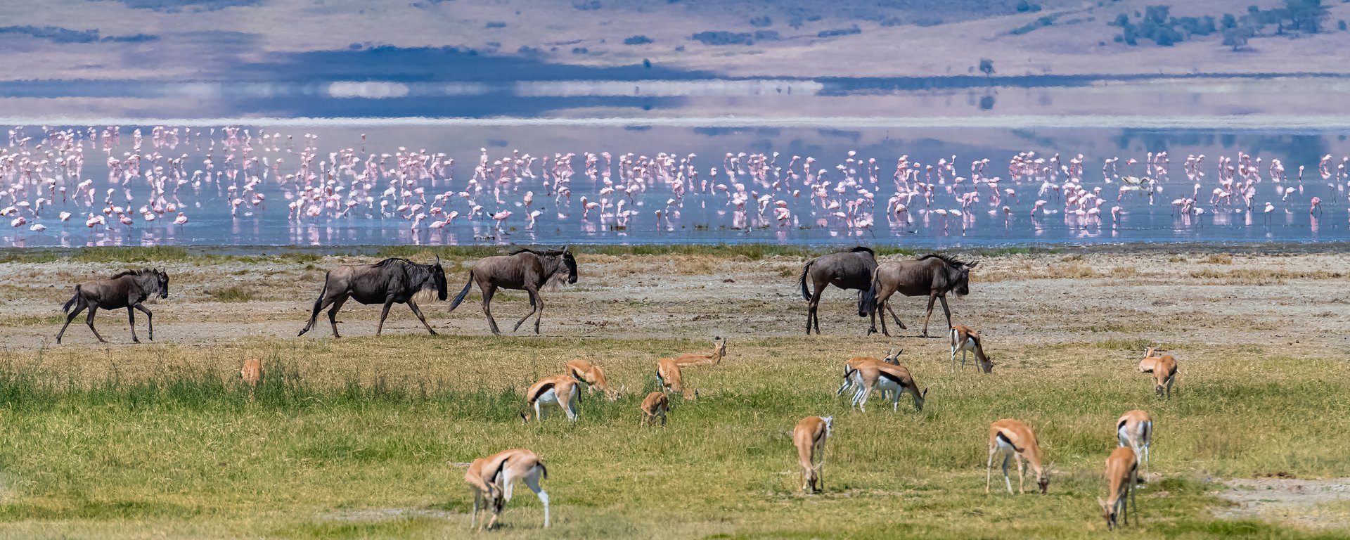 Kenya and Tanzania - An Epic Wildlife Safari in East Africa