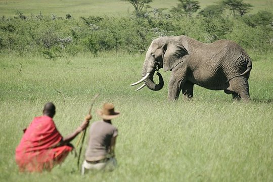 Conservation Experience