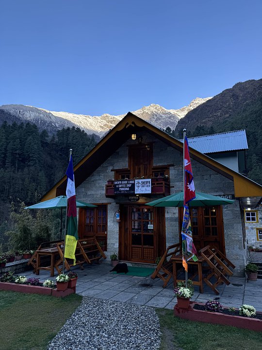 Best Tea House Options