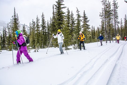 Expert Classic & Skate Ski Instruction