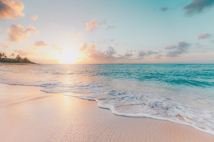 seanoulashinKMn4VEeEPR8unsplash