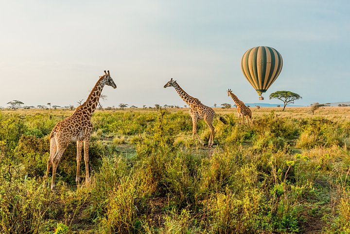 iStock658436570