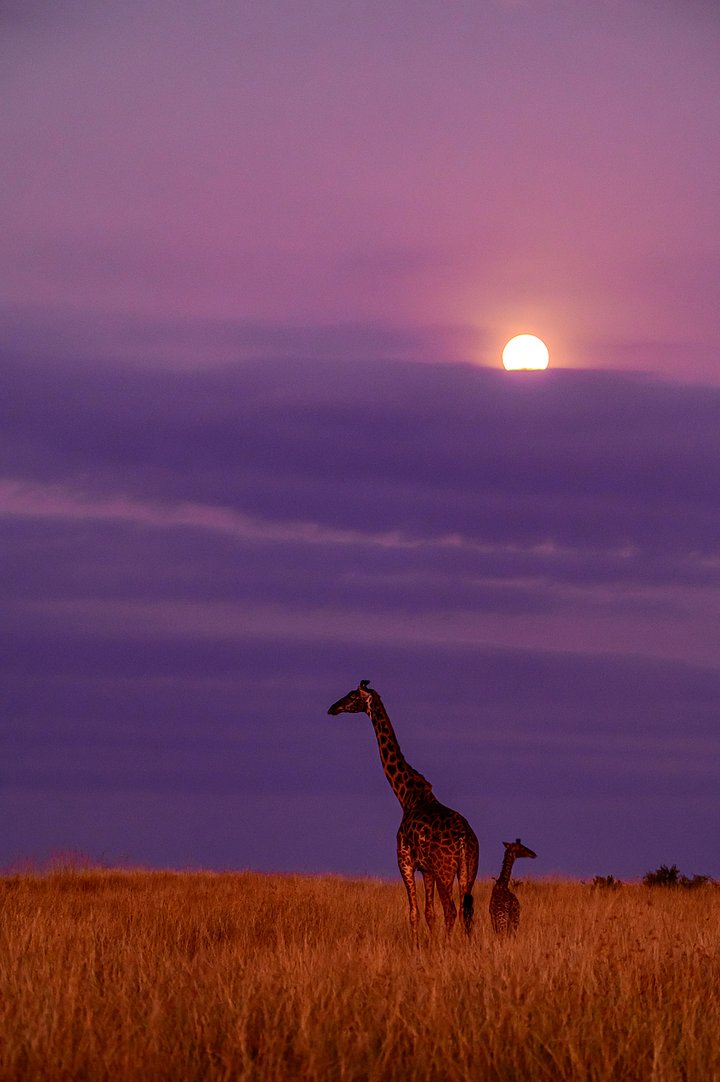 iStock1418361010