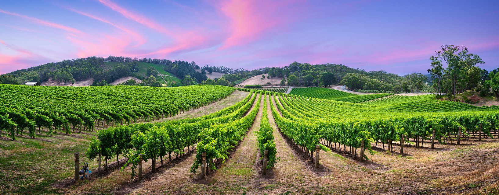 Willamette Valley