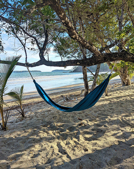 elregalobeachcrop