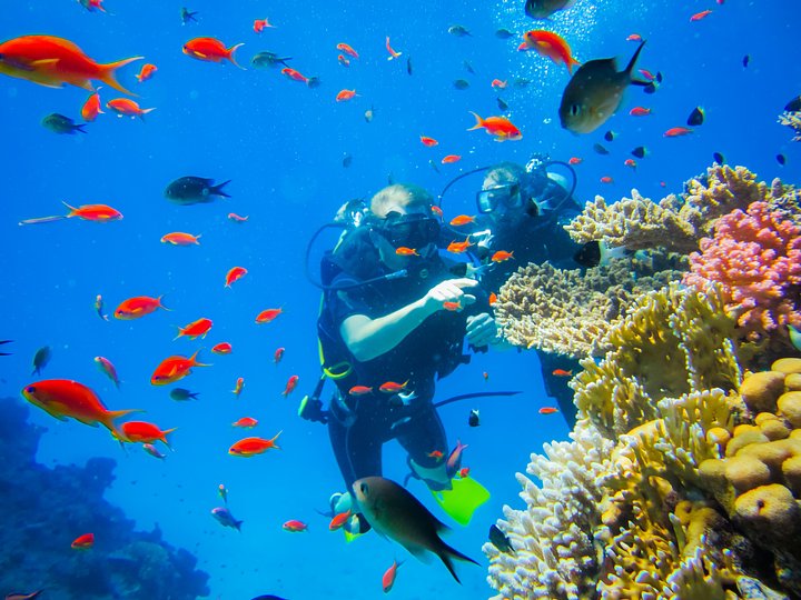 red_sea_diving_kookoo_climb_2