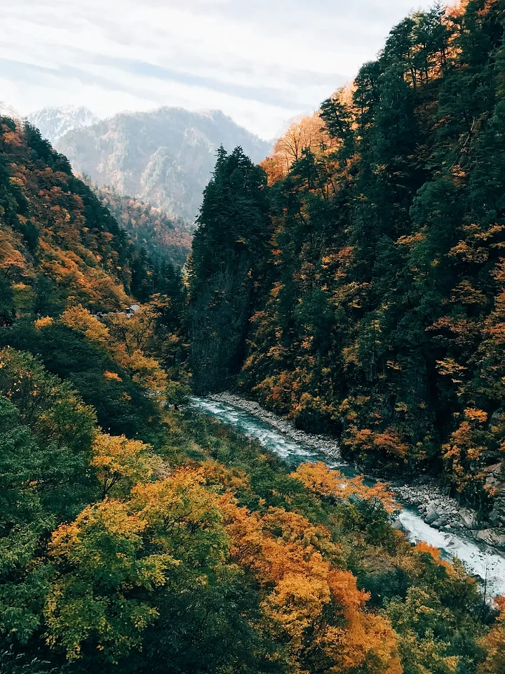 fredrivett_A6zNi1BR2Qunsplash