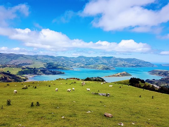 Magical New Zealand