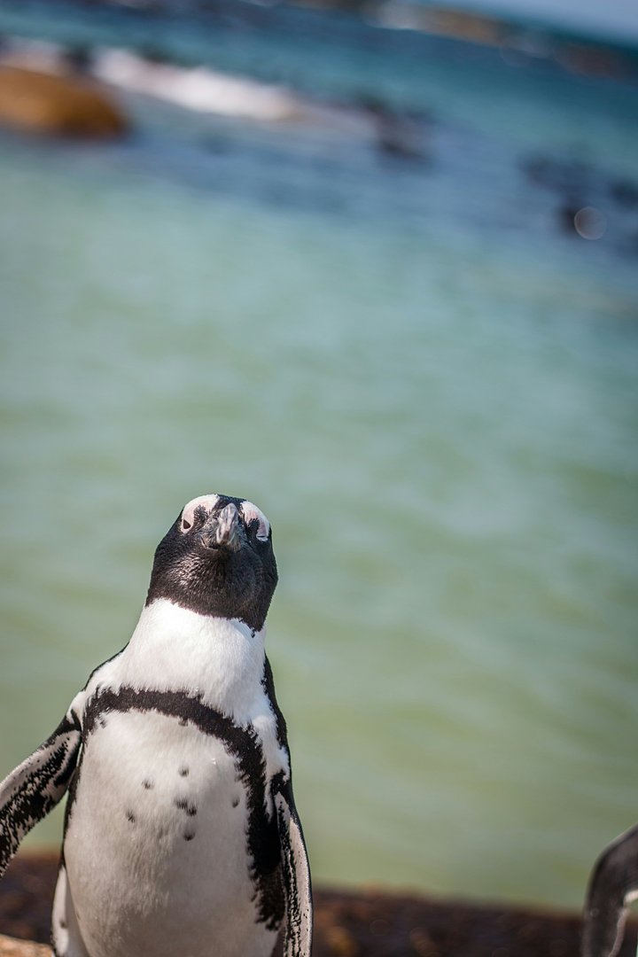 markwilliamsg59rsIyJsr0unsplash